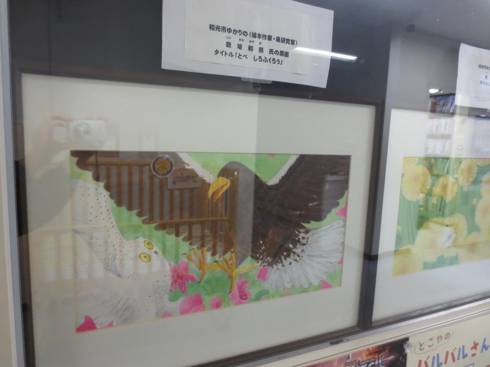 本館 和光市出身の絵本作家 凧研究家の新坂和男さんの作品展示 和光市図書館
