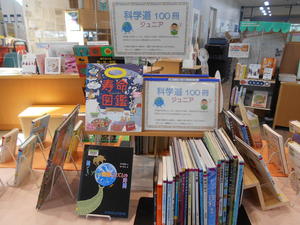 DSCN9484.JPG